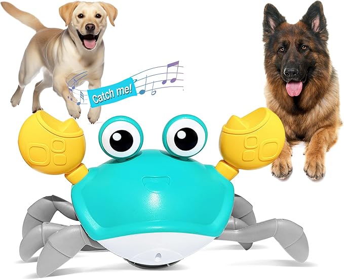 Crawling crab toy