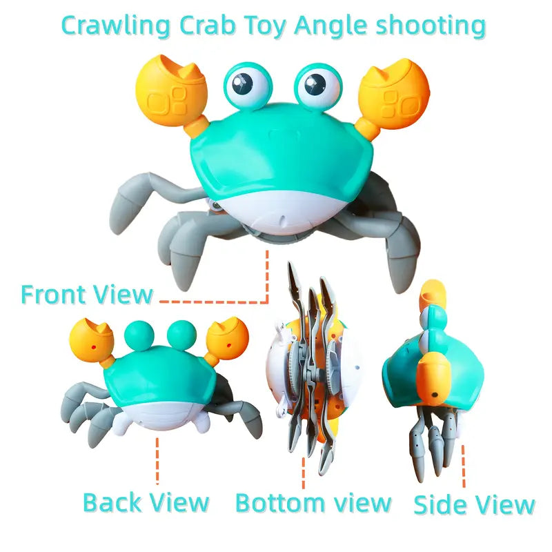 Crawling crab toy