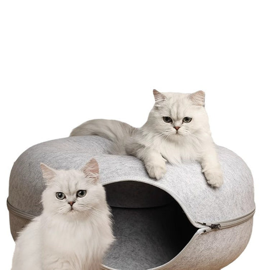 Donut Cat Tunnel