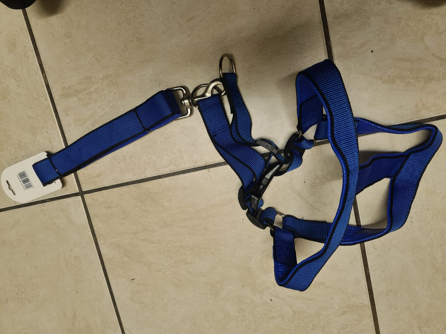 Dog Harness & Leash