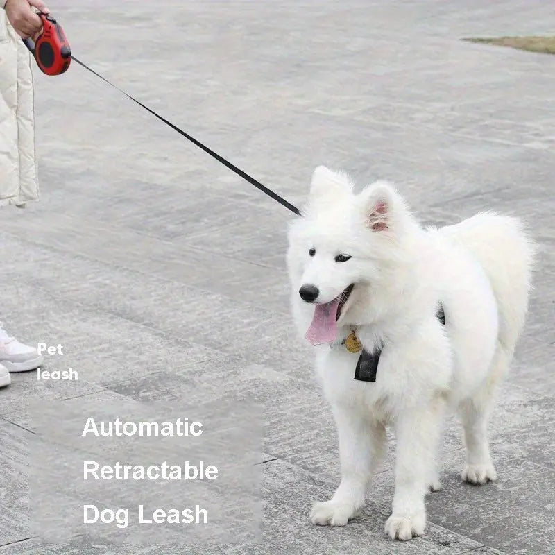 1pc Automatic retractable leash 3m
