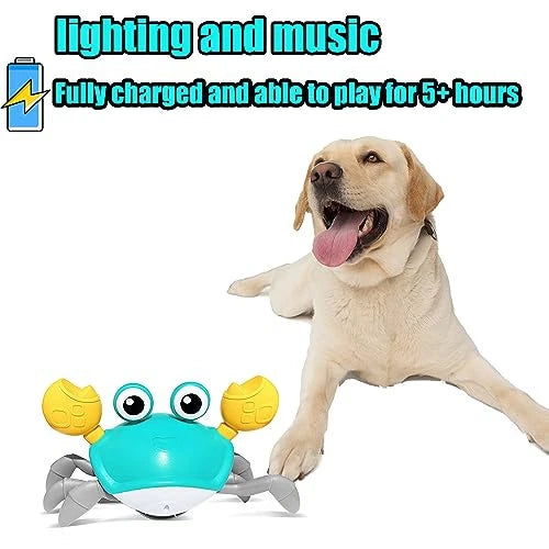 Crawling crab toy