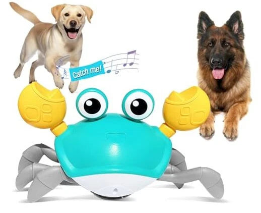 Crawling crab toy