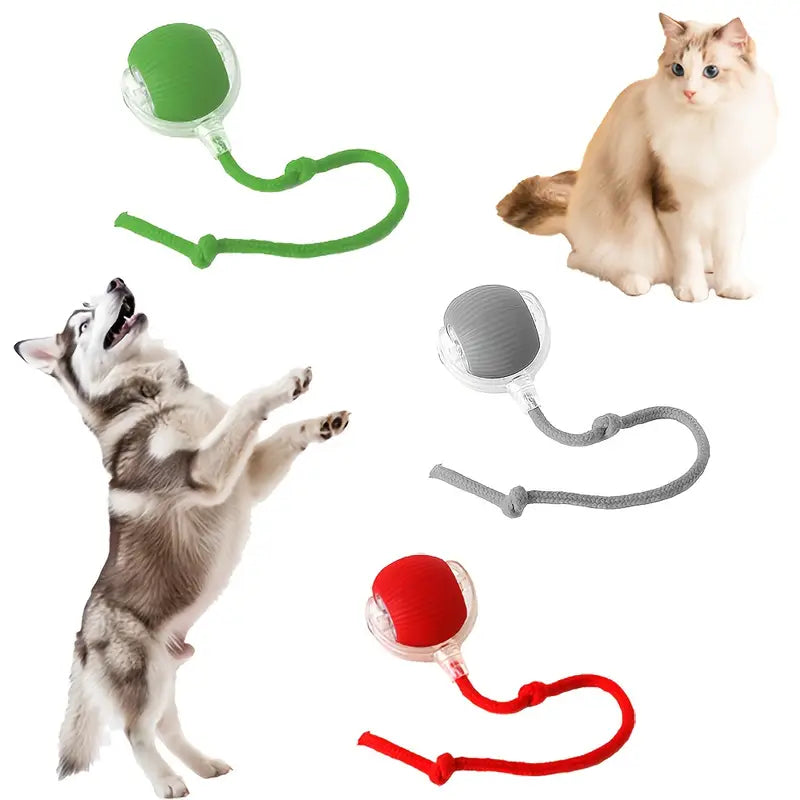Electric interactive cat toy ball