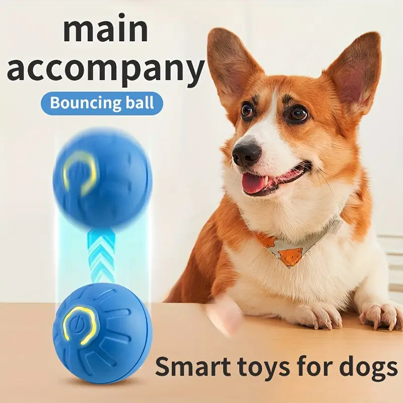 Rechargable Electric interactive toy ball