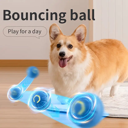 Rechargable Electric interactive toy ball