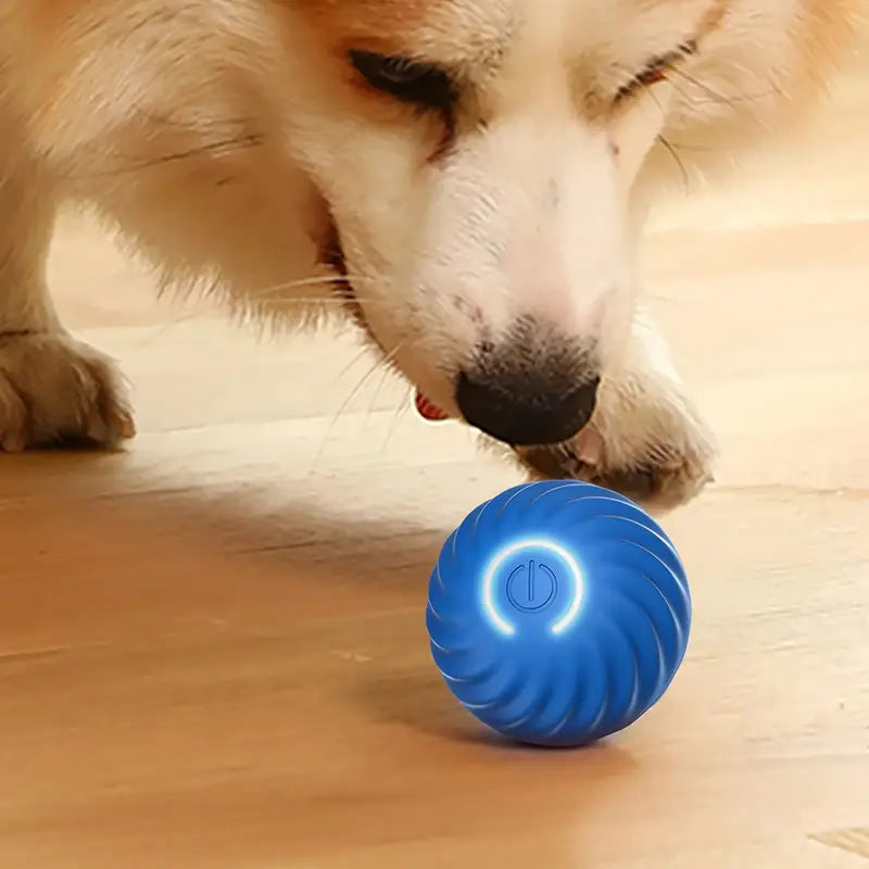 Rechargable Electric interactive toy ball