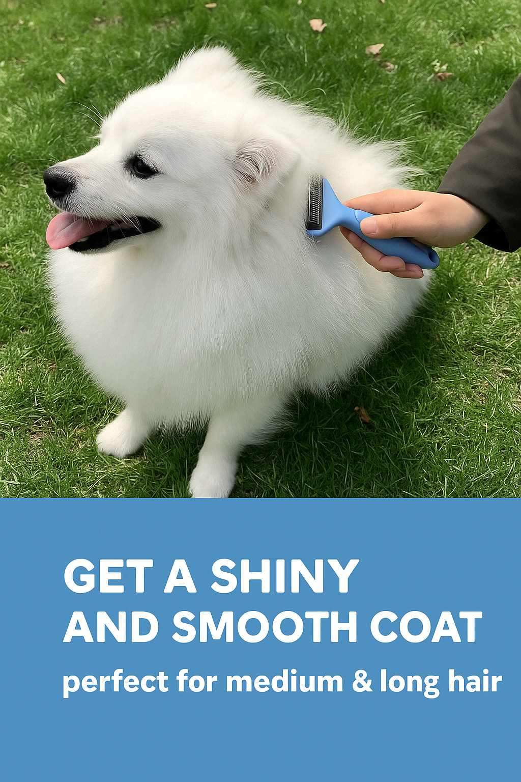 Pet Dematting & Detangling Comb