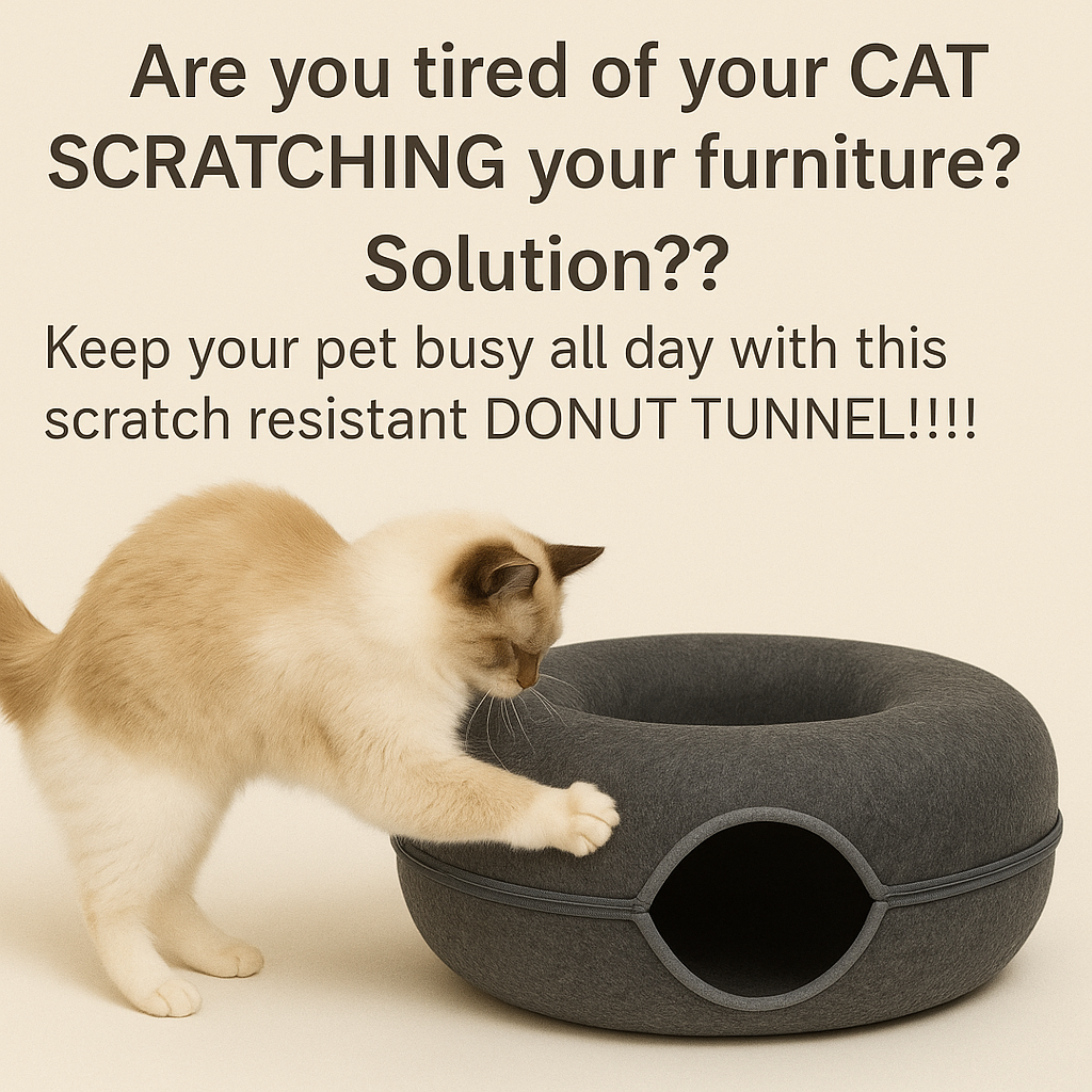 Donut Cat Tunnel
