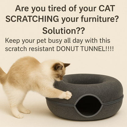 Donut Cat Tunnel