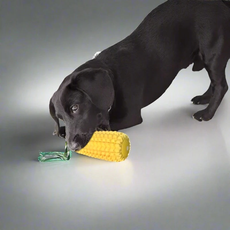 Voice corn dog toothbrush