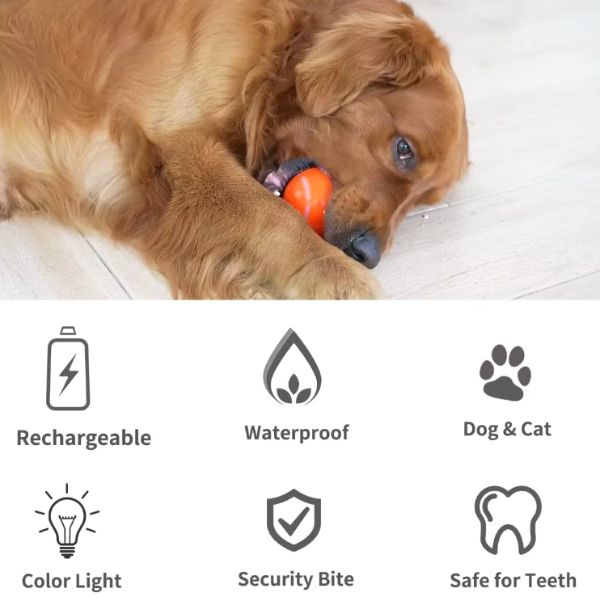 Interactive Dog Toy with LED