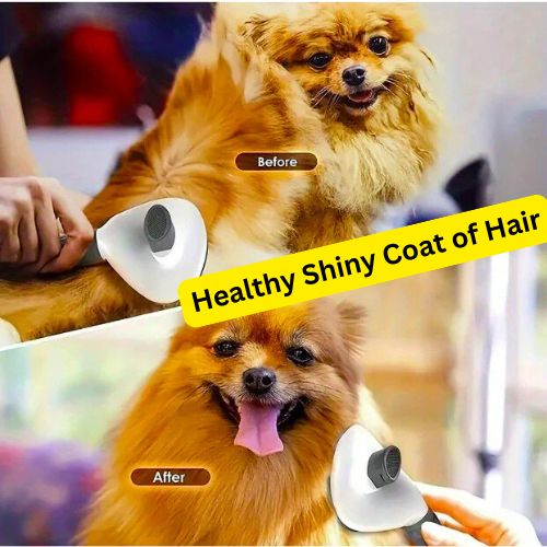 Pet Brush Comb