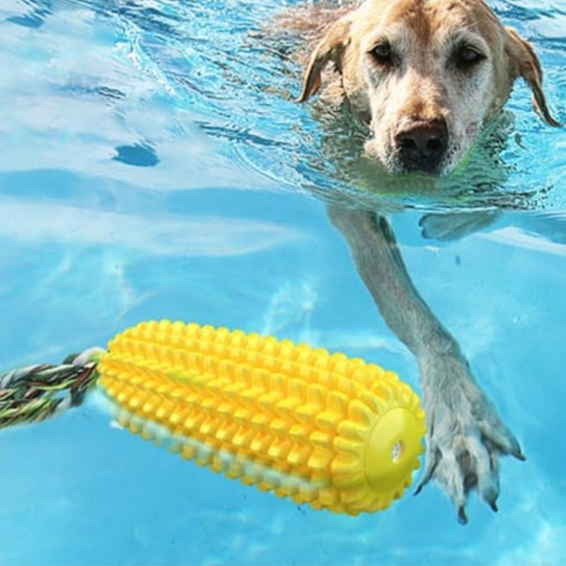 Voice corn dog toothbrush