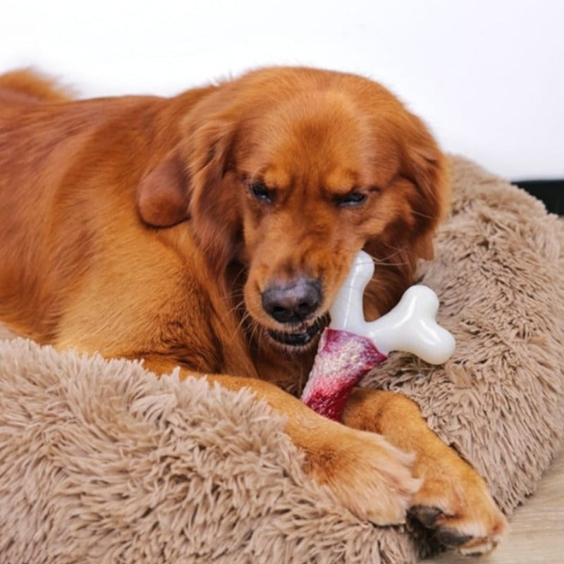 Dog Toy Tooth Grinder ( aggressive chewers)