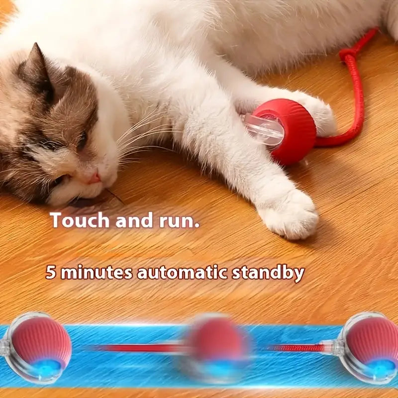 Electric interactive cat toy ball