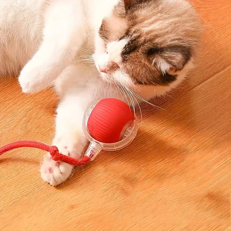 Electric interactive cat toy ball