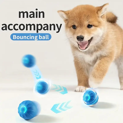 Rechargable Electric interactive toy ball