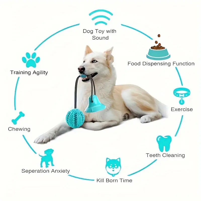 Pet suction dog toy ball