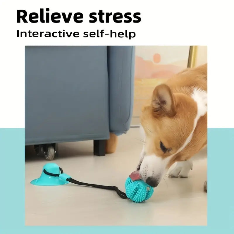 Pet suction dog toy ball