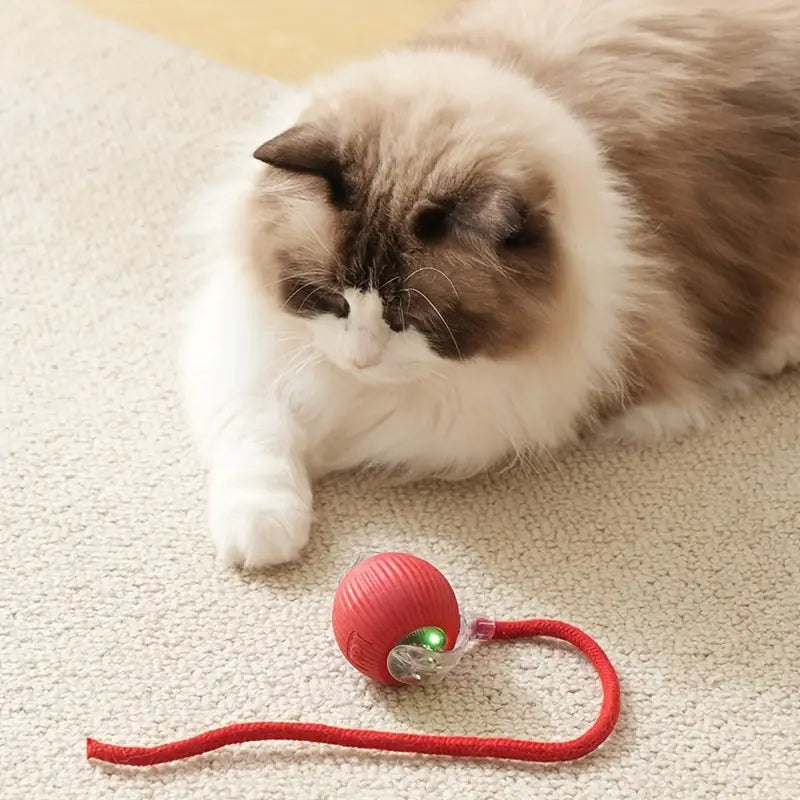 Electric interactive cat toy ball