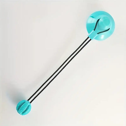 Pet suction dog toy ball
