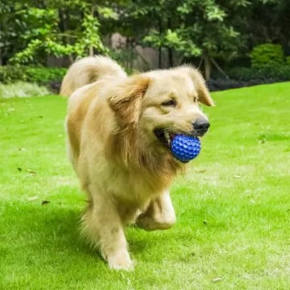 Indestructible Dog Toy- Bite Resistant