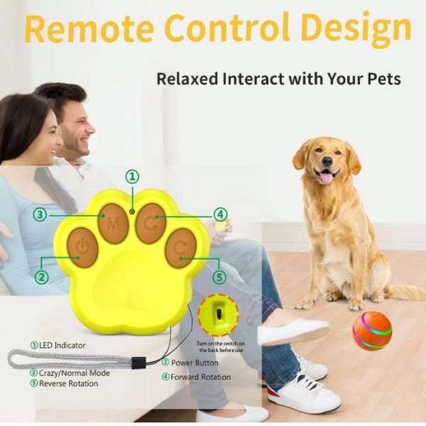 Interactive Dog Toy with LED