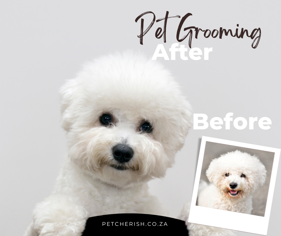 Pet Dematting & Detangling Comb