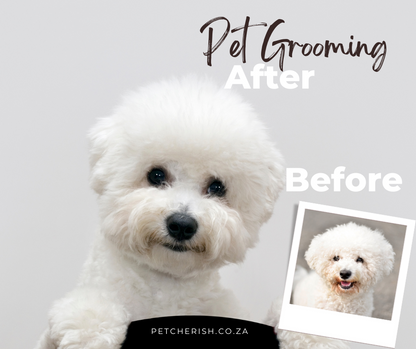 Pet Dematting & Detangling Comb